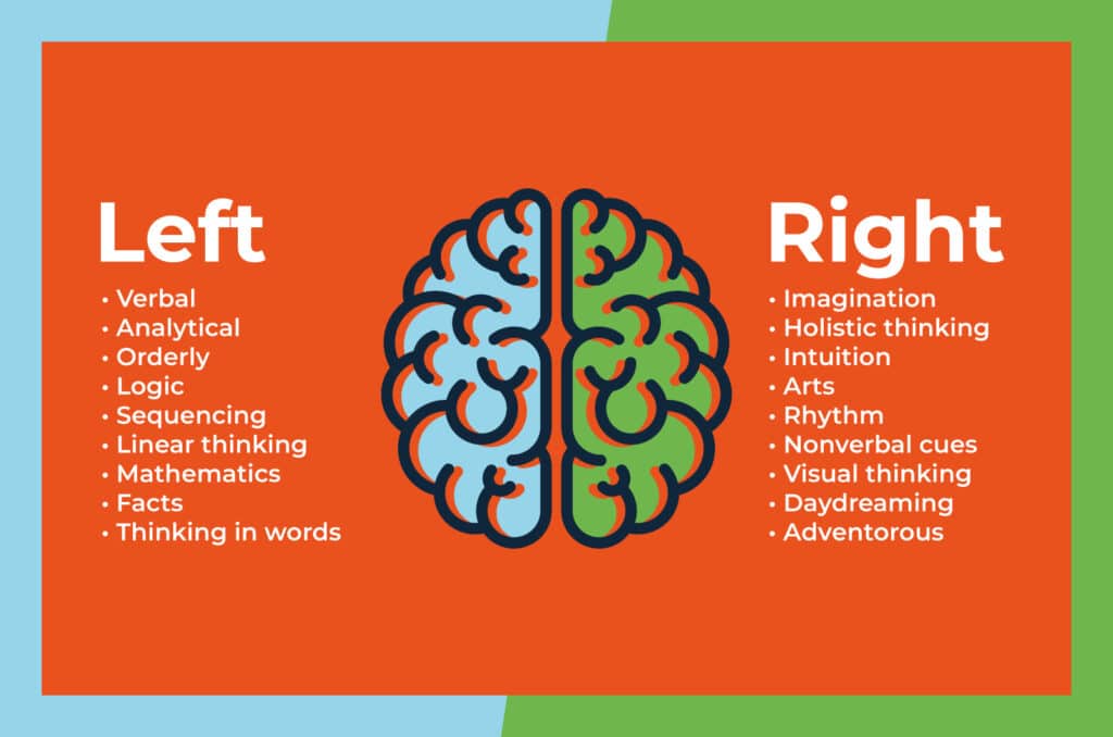 left brain or right brain diagram explaining different ways of thinking