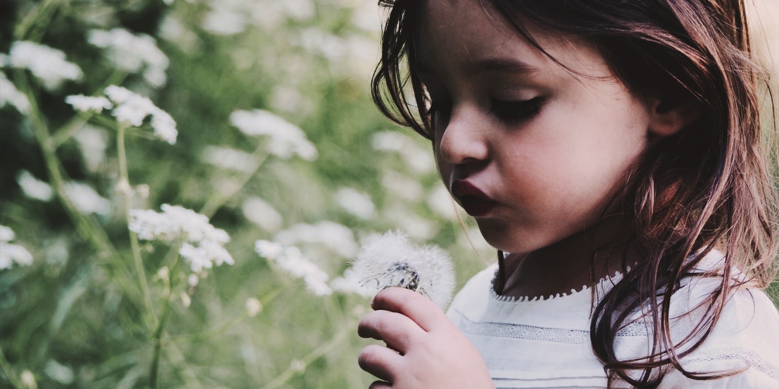 An image of a small girl blowing the dandelion flower