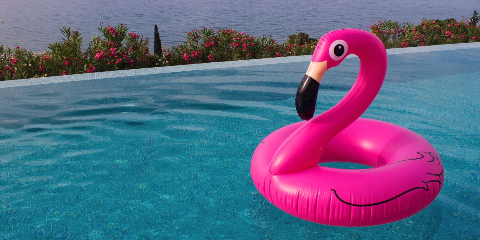 An image of a floating inflatable flamingo in a pool for Travel and Tourism Level 3 Diploma