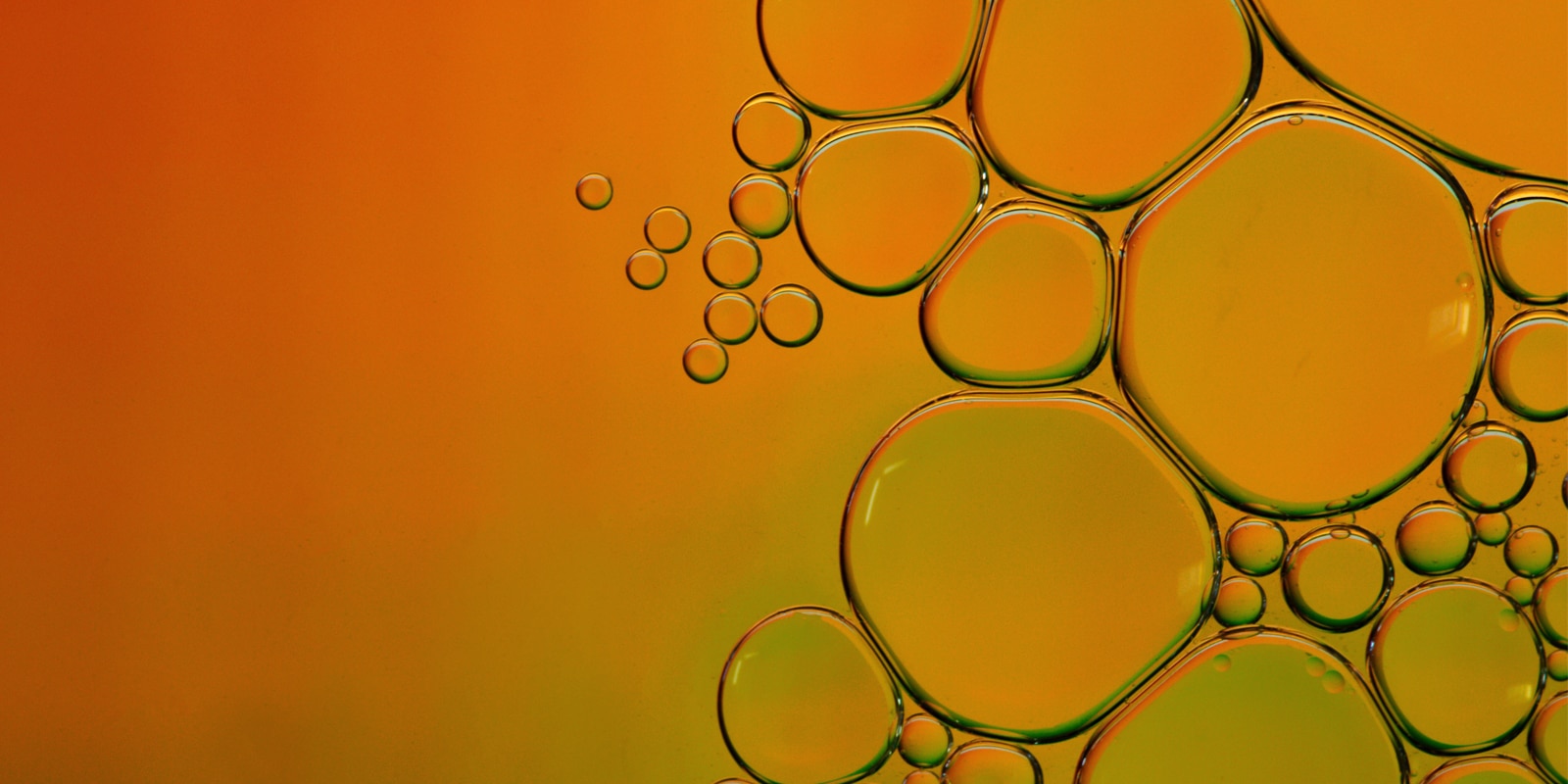 An image of liquid bubbles