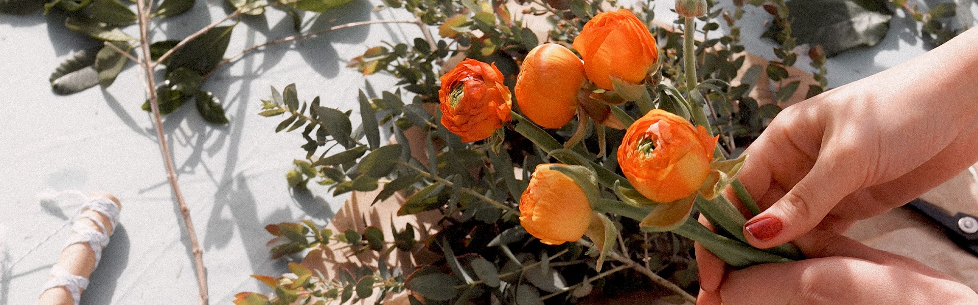 a florist arranges orange roses