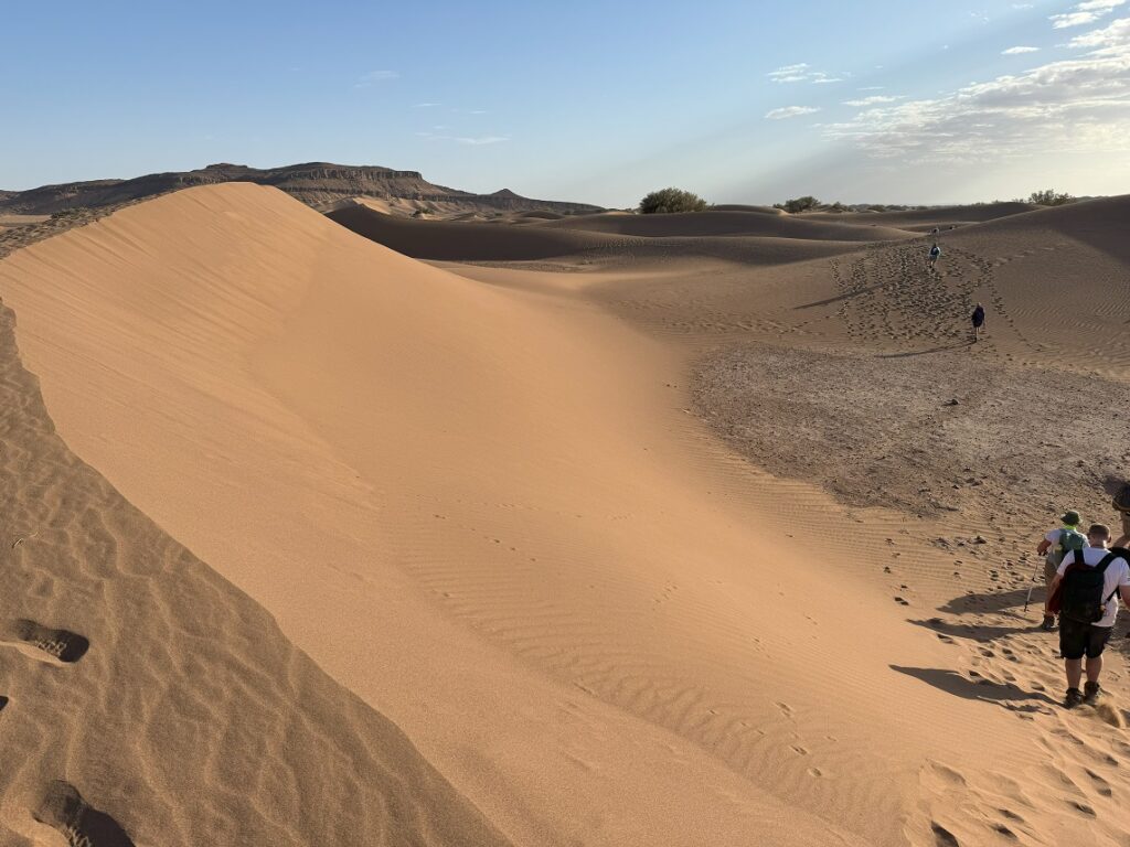 Middle of the day in the Sahara Desert 