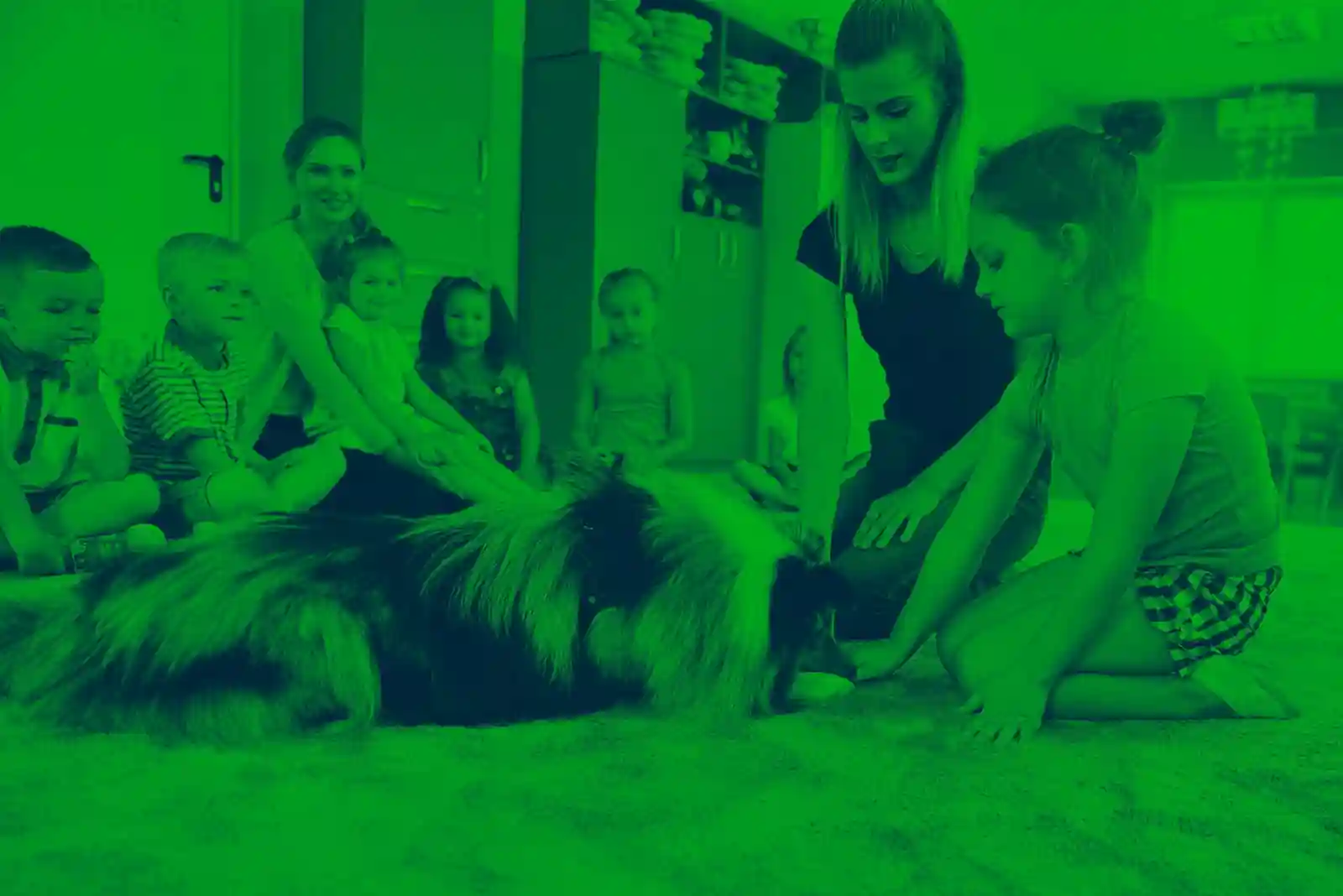 Jobs Working with Animals: What Careers Are There?